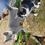 Prázdninový dům Wendelhof *