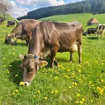Wendelhof Prázdninový dům *