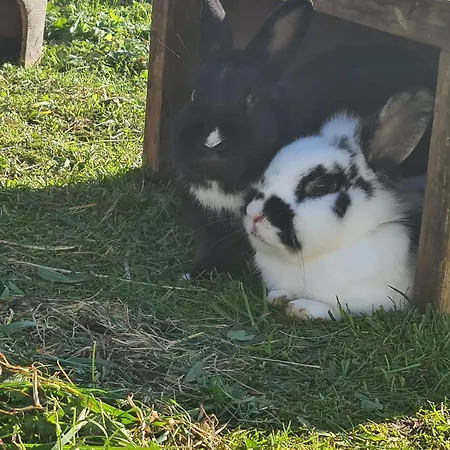 Nyaraló Wendelhof Eisenbach
