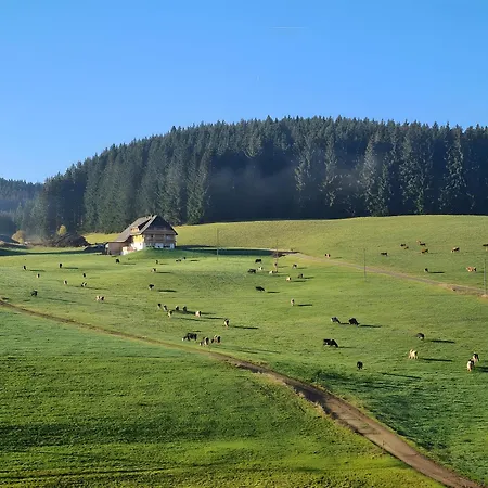 Wendelhof