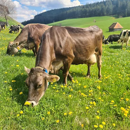 度假居 Wendelhof
