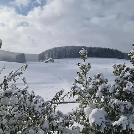 Wendelhof *
