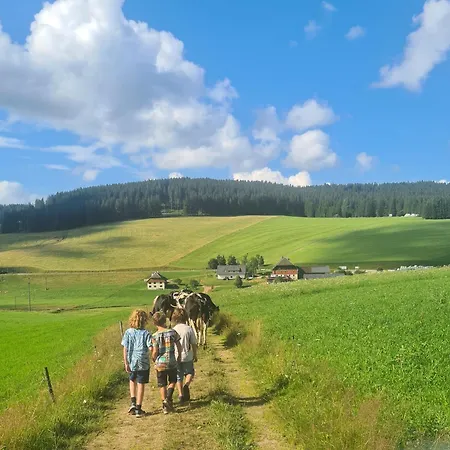 Wendelhof Eisenbach (Breisgau-Hochschwarzwald)